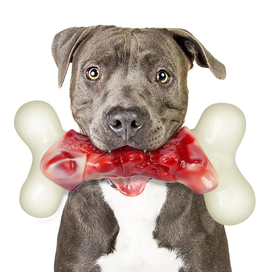Dog Toys for Aggressive Chewers Dog Toys for Large Dogs