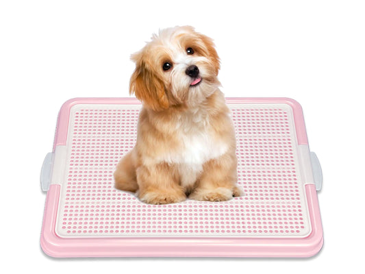 PetBuddy Indoor Potty Trainer Tray 22.5"x16.5" for Small Dogs