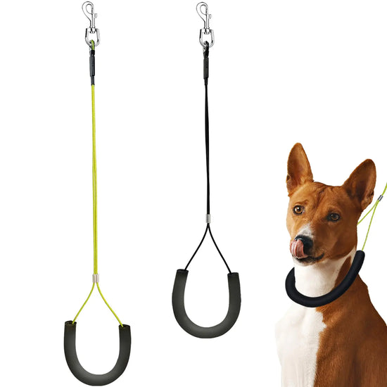 SecurePet Dual Groom Loops