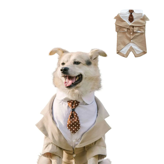 Elegant Large Dog Tuxedo with Bow Tie in Khaki