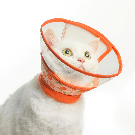 PUPTECK Adjustable Soft Cat Cone Collar – Recovery E-Collar for Small & Medium Cats (Orange, M)