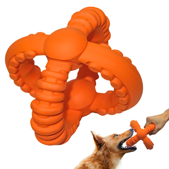 Detachable Dog Chew Toys for Healthy Chewing