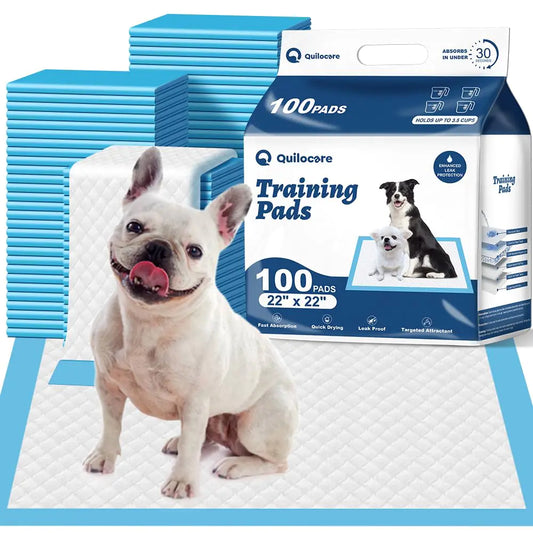 Super Absorbent 22x22 Puppy Training Pads