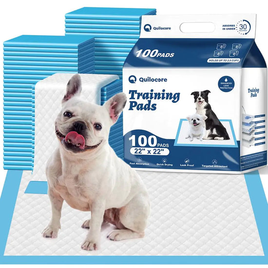 Super Absorbent 22x22 Puppy Training Pads