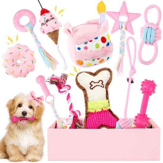 11 pc Dog Birthday Teething Variety Toy Set