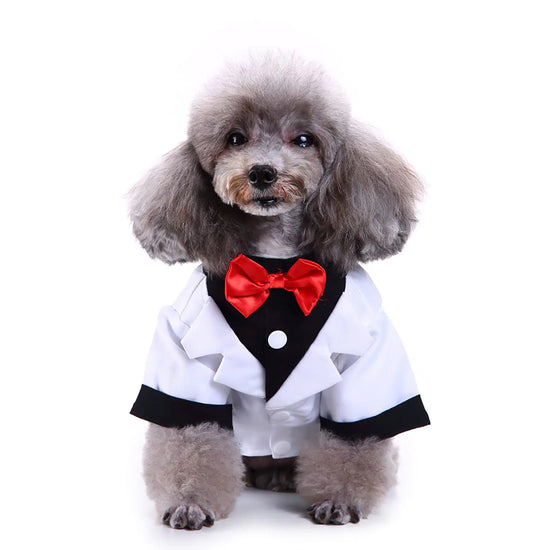 Elegant Pup Formal Tuxedo Shirt XL