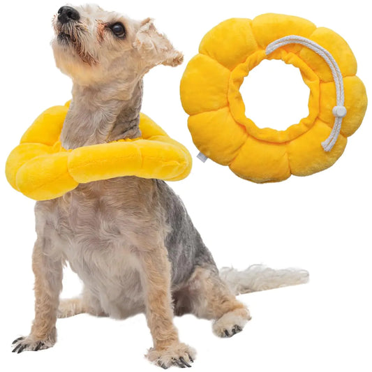 Adjustable Soft Dog Cone for Small Dogs – Comfortable, Protective Recovery