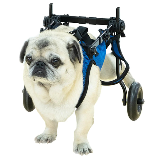 Adjustable Dog Wheelchair – Medium Rear Leg Support Cart for Paralyzed Pets
