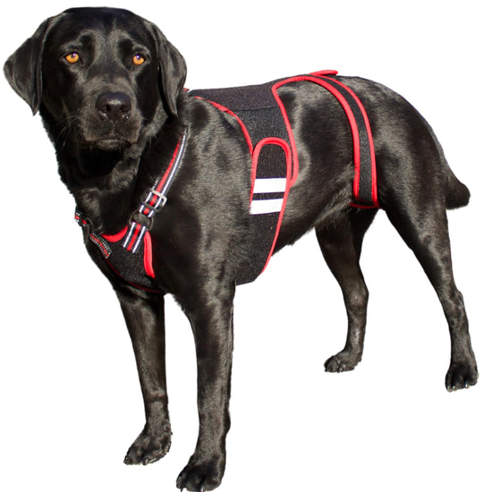 PetAngell Pup Support Harness