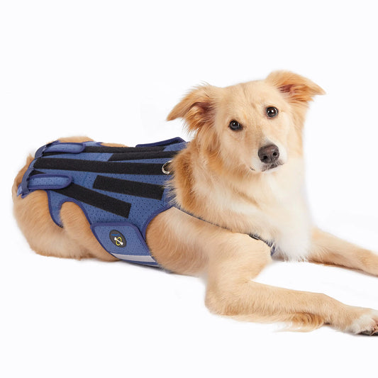 COODEO Dog Back Brace – Arthritis & IVDD Support for Pain Relief & Recovery (X-Large)