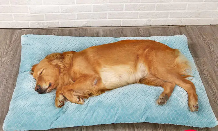 Beds