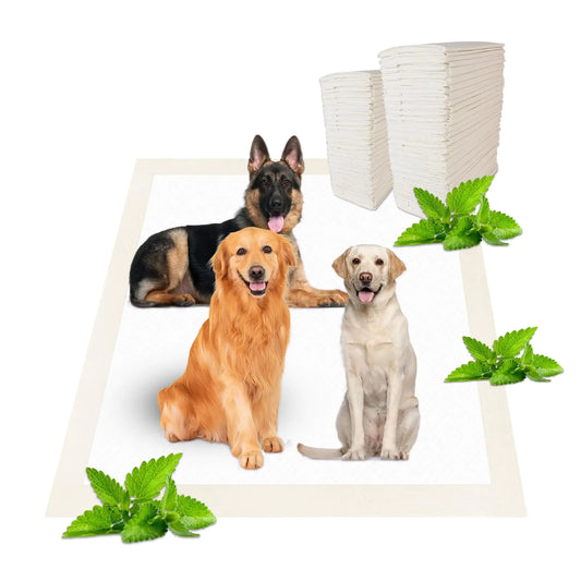 MintFresh Absorbent 36x36 Puppy Training Pads - 30 Pack